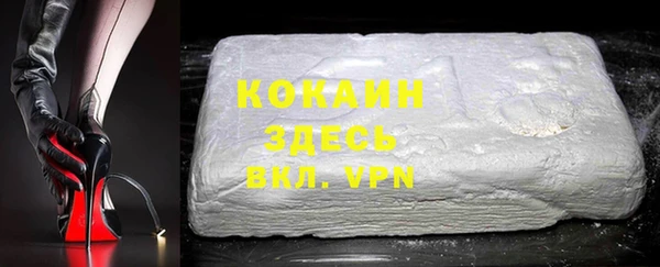 стаф Арсеньев