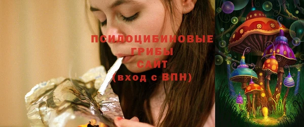 стаф Арсеньев