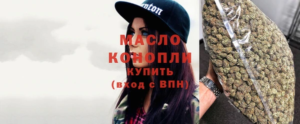 стаф Арсеньев