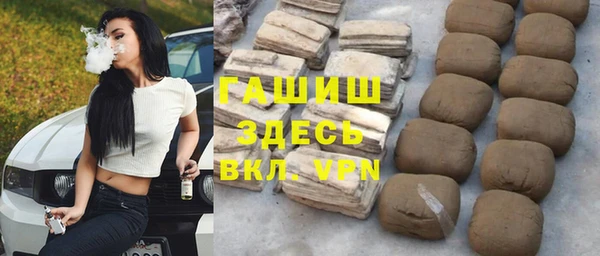 стаф Арсеньев